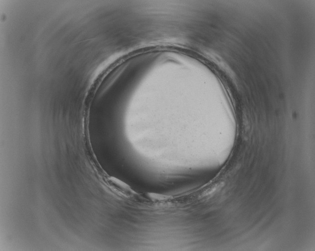 X0000061731316200512231424