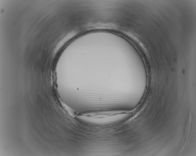 X0000061731317200512231424