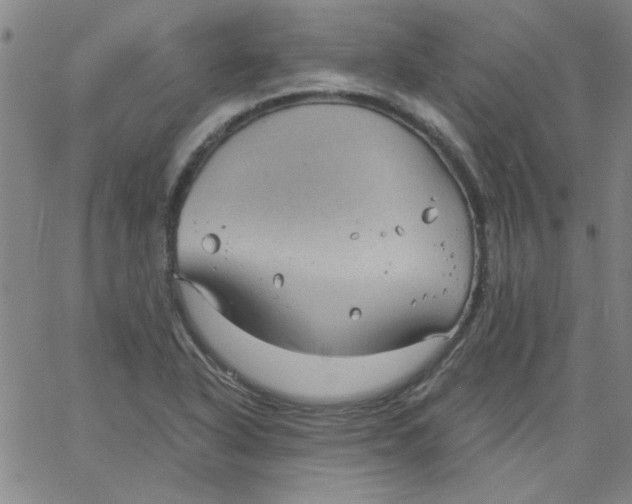 X0000061731318200512231424