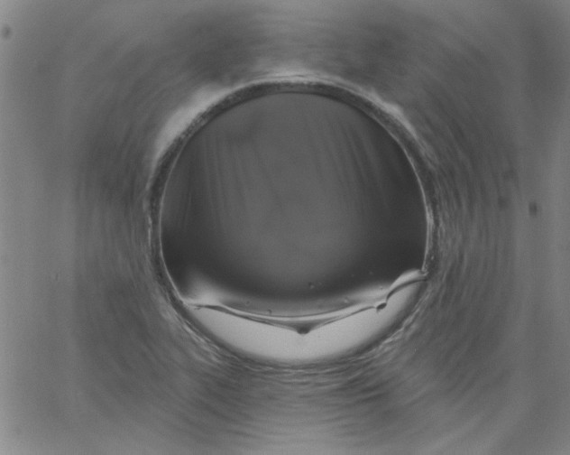 X0000061731319200512231424