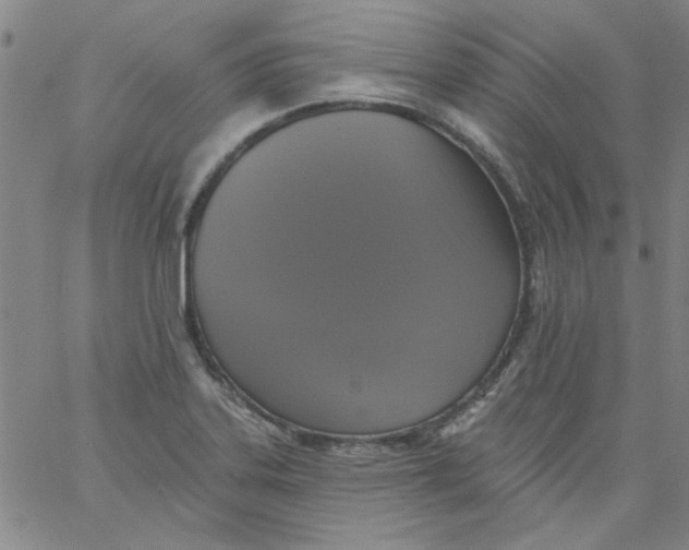 X0000061731323200512231424