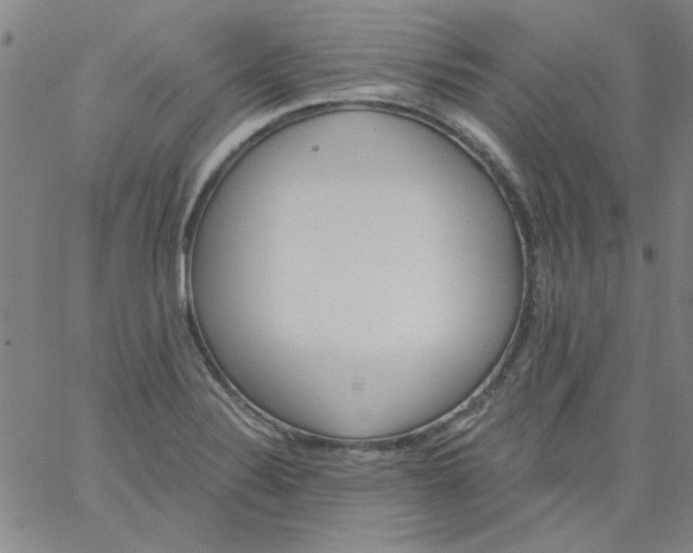 X0000061731324200512231425