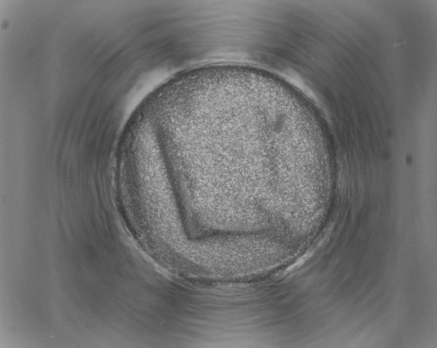 X0000061731325200512231425