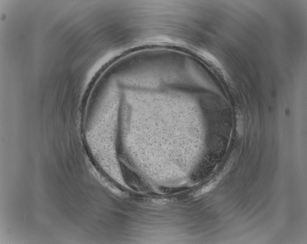 X0000061731326200512231425