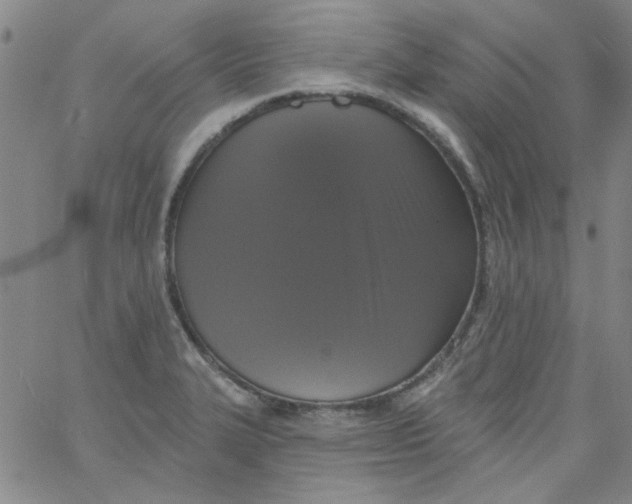 X0000061731327200512231425