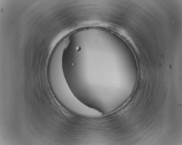 X0000061731328200512231425