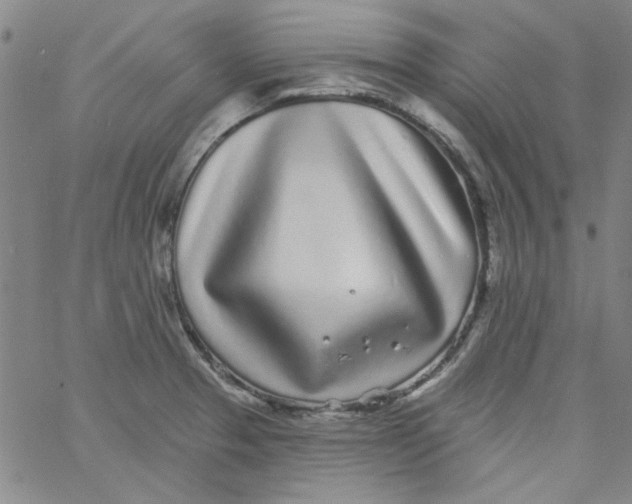 X0000061731329200512231425