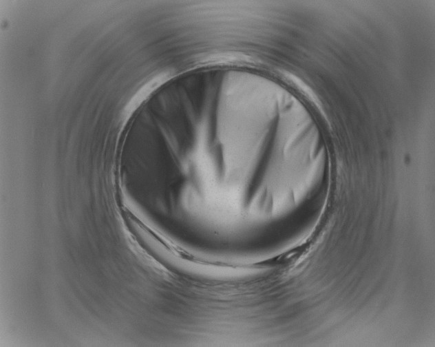 X0000061731330200512231425