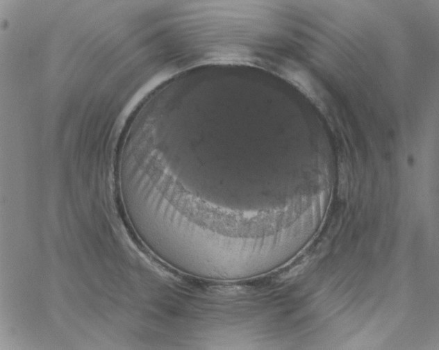 X0000061731331200512231425