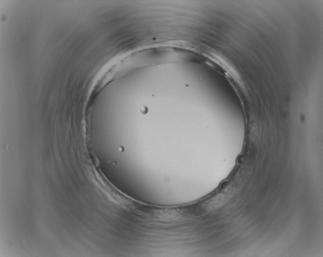 X0000061731332200512231425