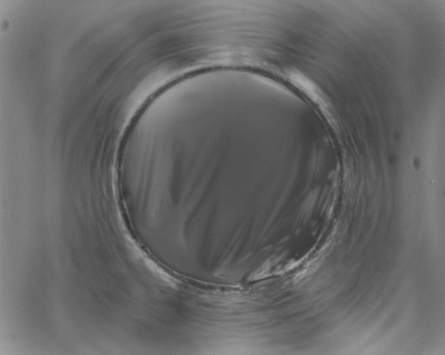 X0000061731334200512231425