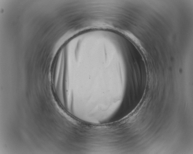 X0000061731335200512231425