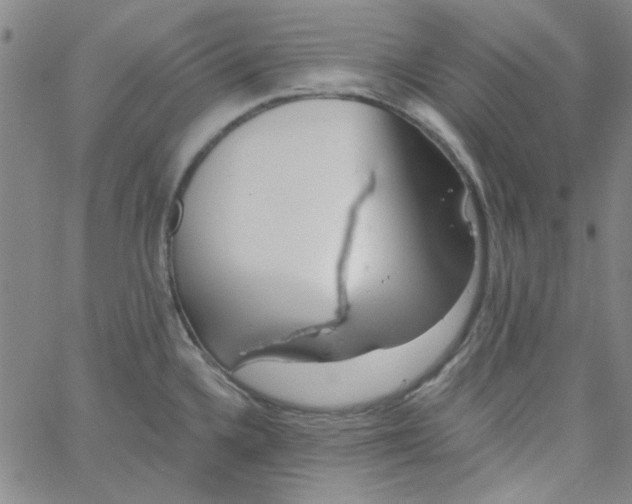 X0000061731336200512231425