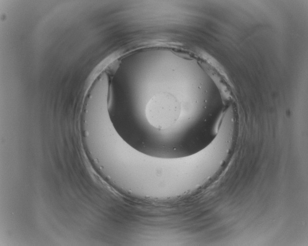 X0000061731338200512231425