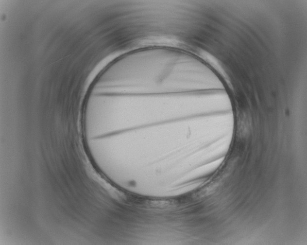 X0000061731339200512231425