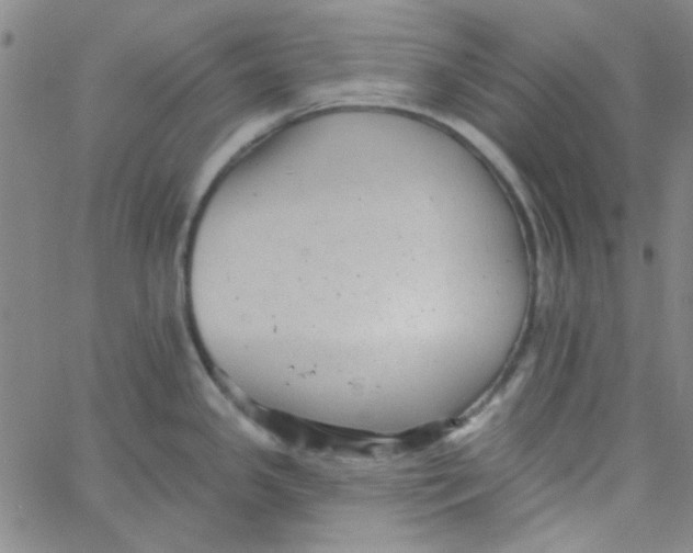 X0000061731341200512231425