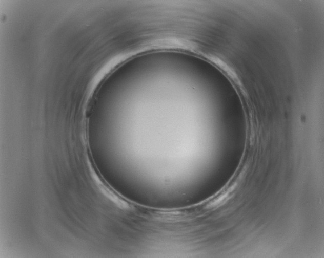 X0000061731342200512231425