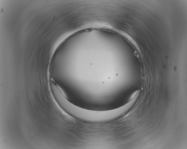 X0000061731343200512231425