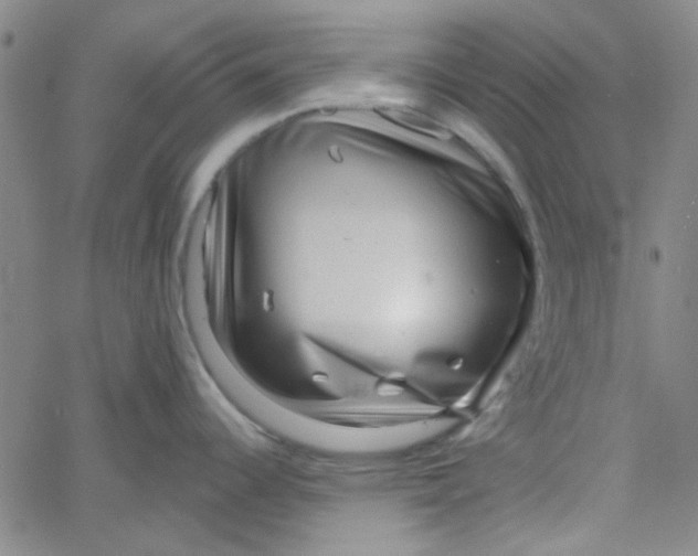 X0000061731344200512231425