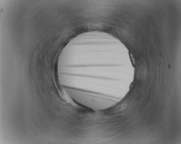 X0000061731345200512231424