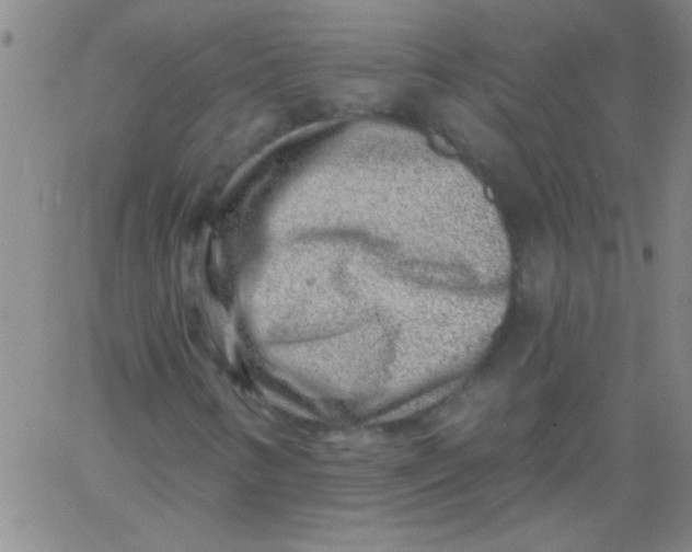 X0000061731346200512231424