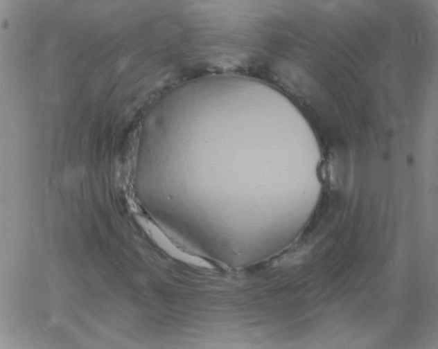 X0000061731347200512231424