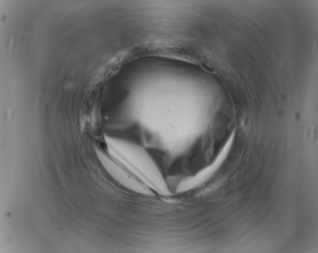 X0000061731348200512231424