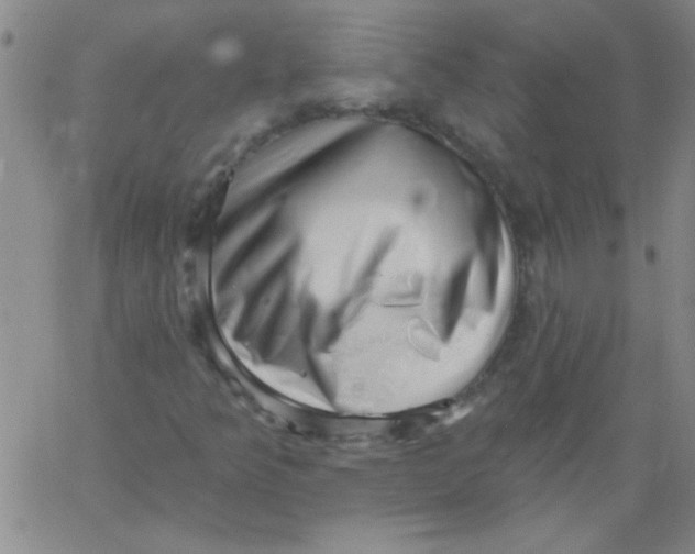 X0000061731349200512231424