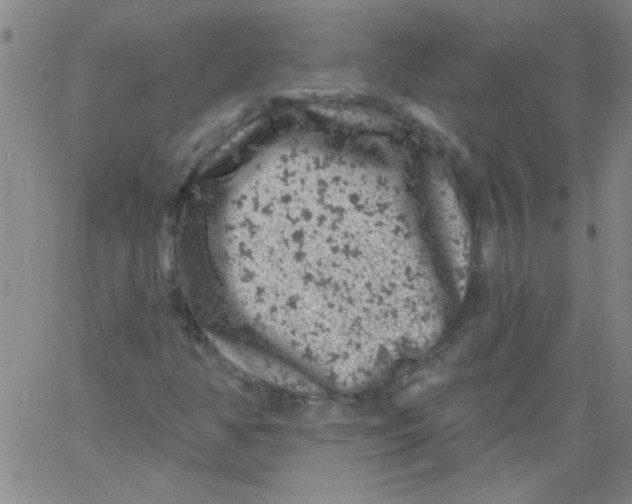 X0000061731350200512231424