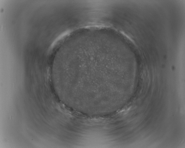 X0000061731351200512231424