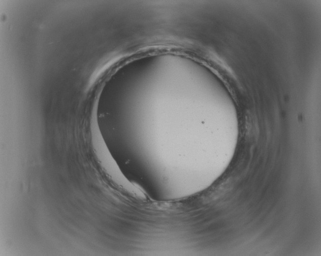 X0000061731352200512231424