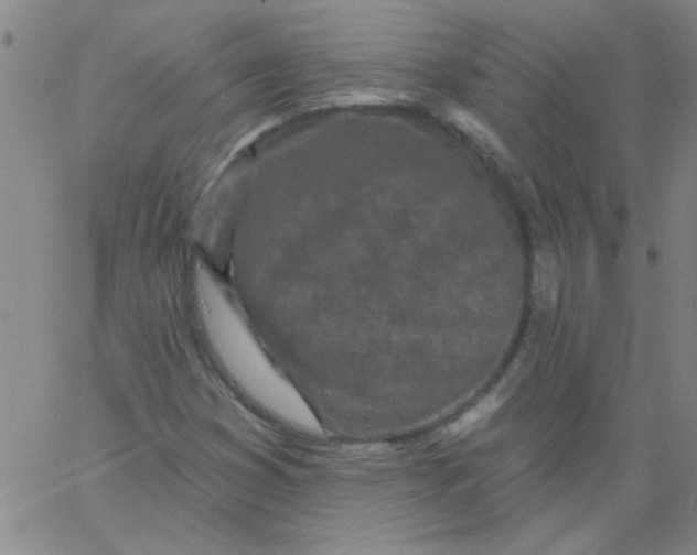 X0000061731353200512231424