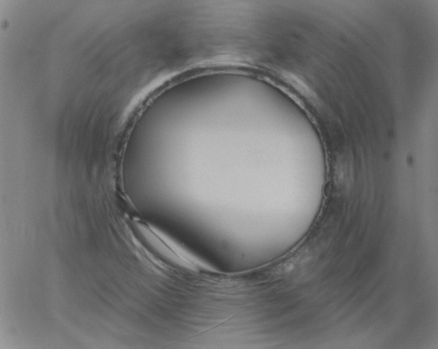 X0000061731356200512231424