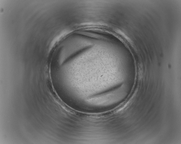 X0000061731357200512231424