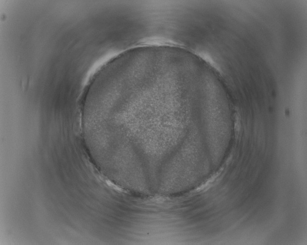 X0000061731358200512231424