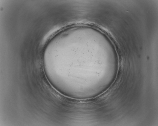 X0000061731359200512231424