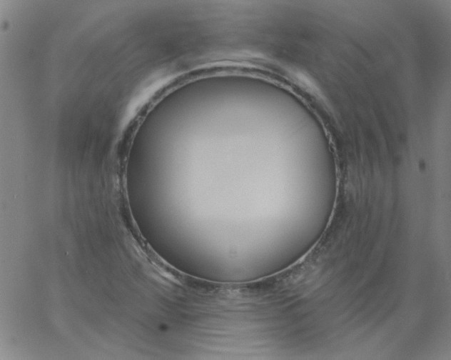 X0000061731360200512231424