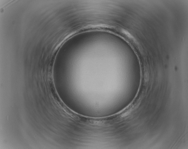 X0000061731361200512231424