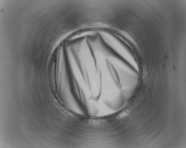 X0000061731364200512231424