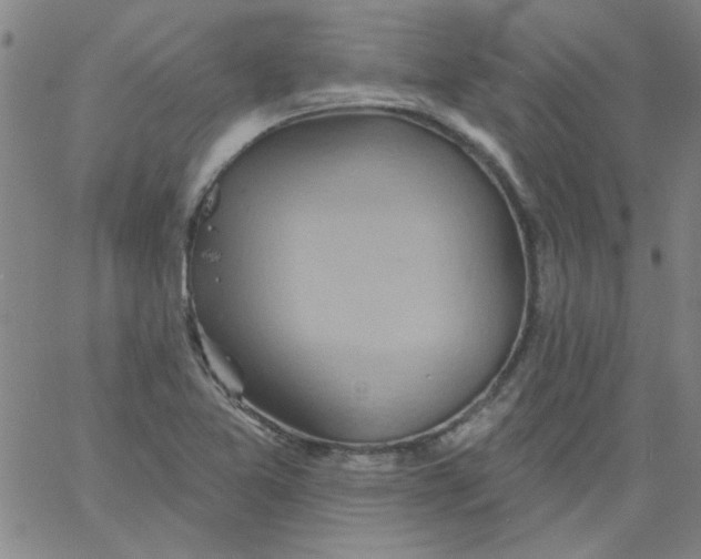 X0000061731365200512231424