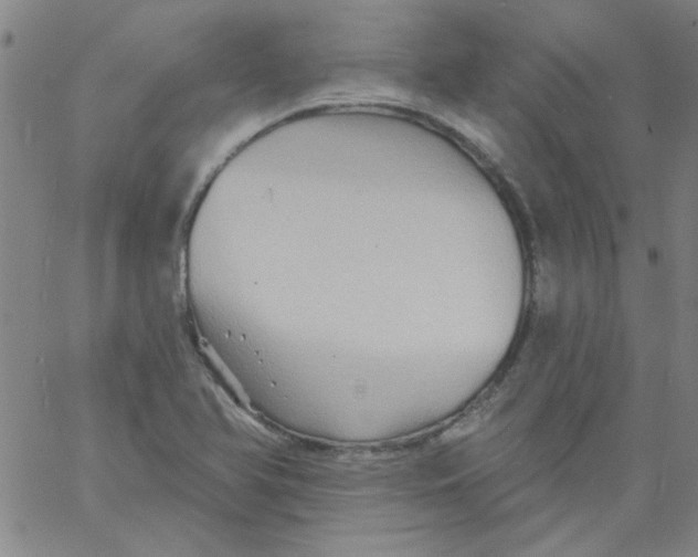 X0000061731366200512231424