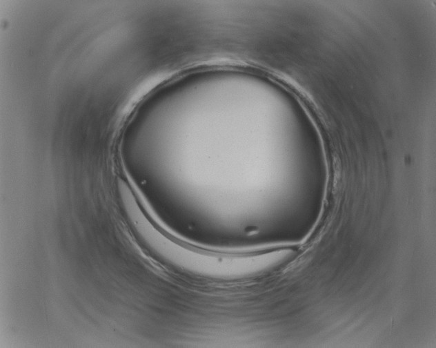 X0000061731367200512231424