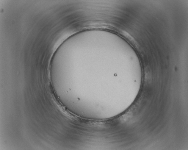 X0000061731370200512231424