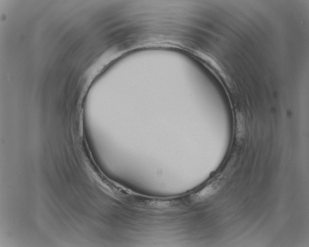 X0000061731371200512231424