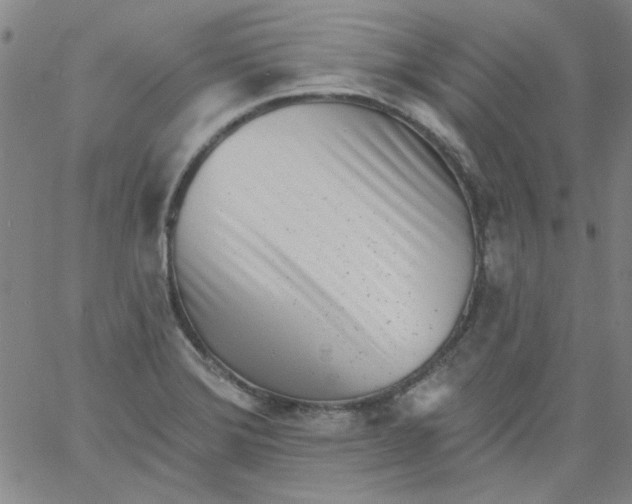 X0000061731372200512231424