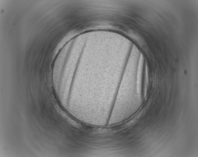 X0000061731374200512231424