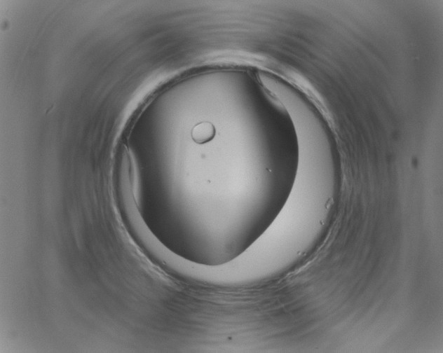 X0000061731376200512231424