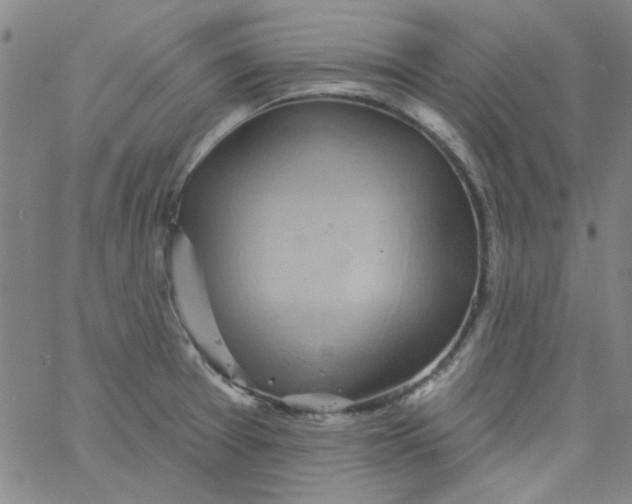 X0000061731377200512231424