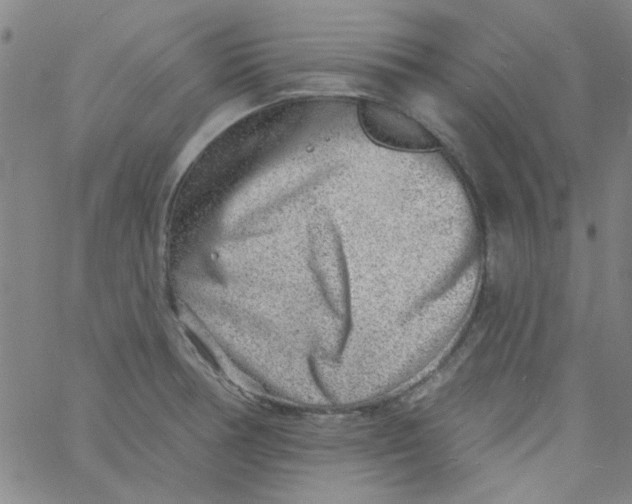 X0000061731378200512231424