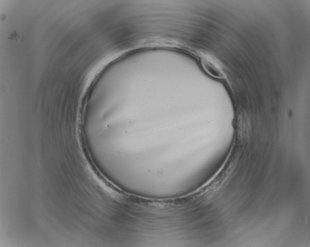 X0000061731379200512231423